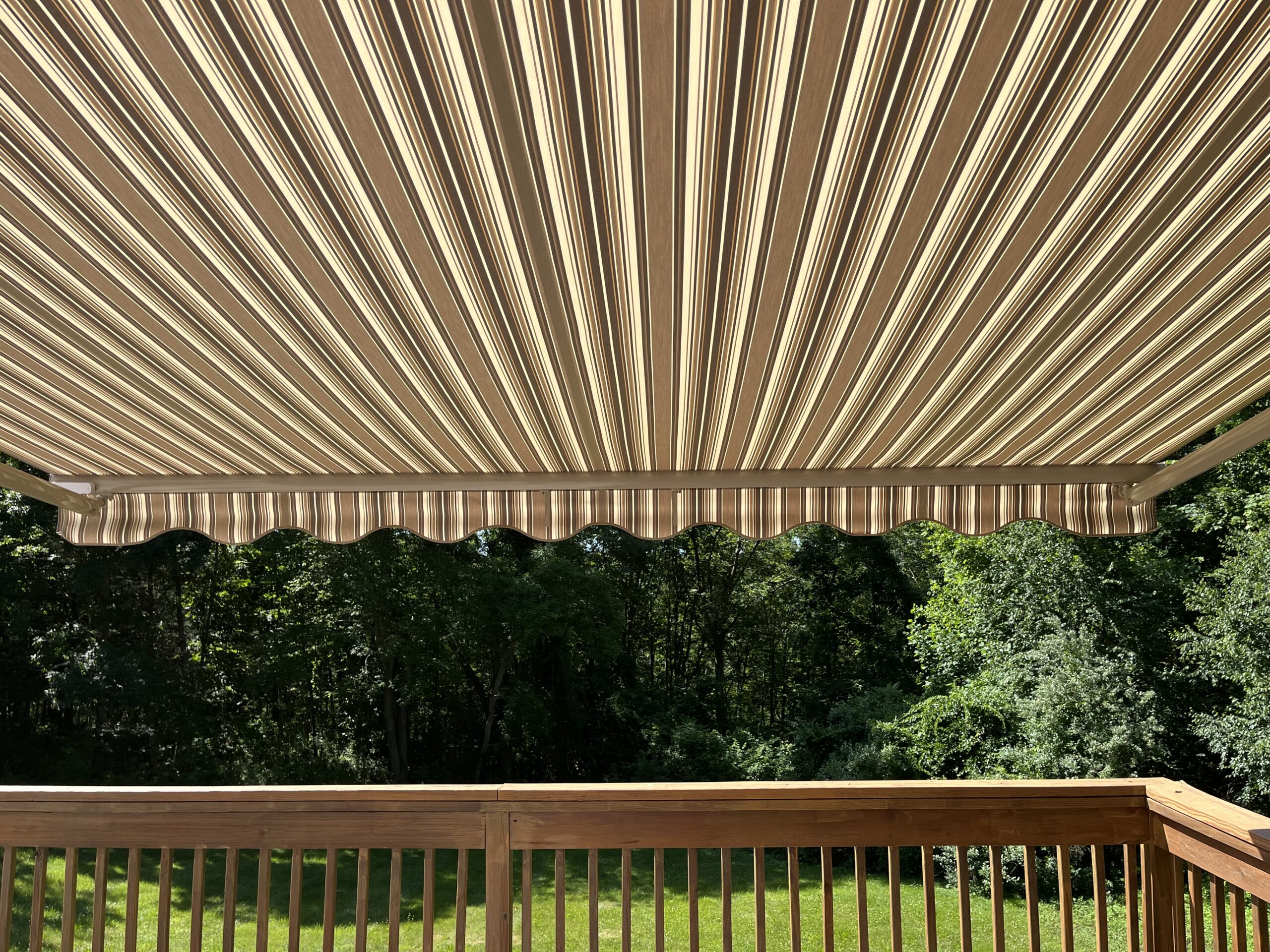 Featured Project
